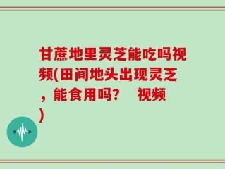 甘蔗地里灵芝能吃吗视频(田间地头出现灵芝，能食用吗？  视频)