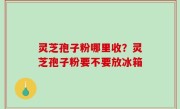 灵芝孢子粉哪里收？灵芝孢子粉要不要放冰箱