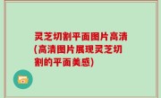 灵芝切割平面图片高清(高清图片展现灵芝切割的平面美感)