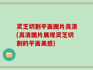 灵芝切割平面图片高清(高清图片展现灵芝切割的平面美感)