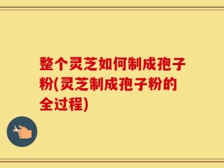 整个灵芝如何制成孢子粉(灵芝制成孢子粉的全过程)