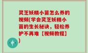 灵芝妖精小苗怎么养的视频(学会灵芝妖精小苗的生长秘诀，轻松养护不再难【视频教程】)