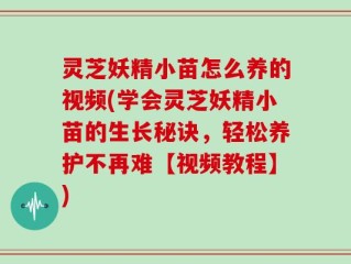灵芝妖精小苗怎么养的视频(学会灵芝妖精小苗的生长秘诀，轻松养护不再难【视频教程】)
