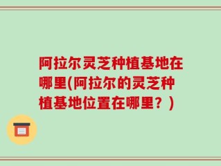 阿拉尔灵芝种植基地在哪里(阿拉尔的灵芝种植基地位置在哪里？)