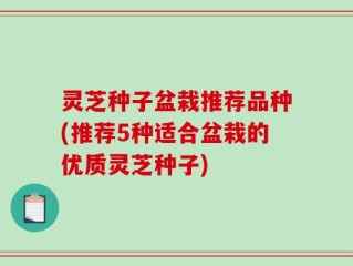 灵芝种子盆栽推荐品种(推荐5种适合盆栽的优质灵芝种子)