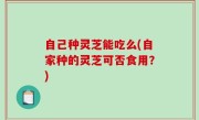 自己种灵芝能吃么(自家种的灵芝可否食用？)