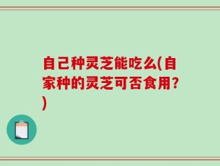 自己种灵芝能吃么(自家种的灵芝可否食用？)