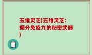五维灵芝(五维灵芝：提升免疫力的秘密武器)