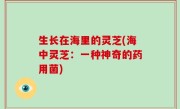 生长在海里的灵芝(海中灵芝：一种神奇的药用菌)