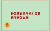 种灵芝有孢子吗？灵芝孢子粉怎么种