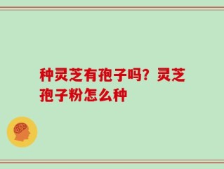 种灵芝有孢子吗？灵芝孢子粉怎么种