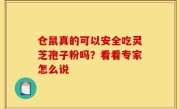 仓鼠真的可以安全吃灵芝孢子粉吗？看看专家怎么说