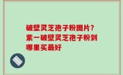 破壁灵芝孢子粉图片？紫一破壁灵芝孢子粉到哪里买最好