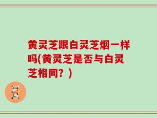 黄灵芝跟白灵芝烟一样吗(黄灵芝是否与白灵芝相同？)
