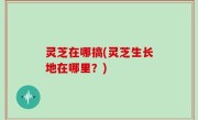 灵芝在哪搞(灵芝生长地在哪里？)