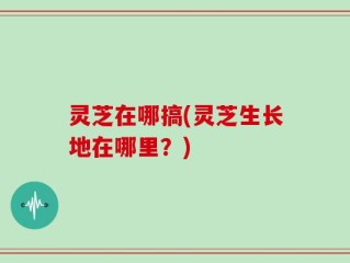 灵芝在哪搞(灵芝生长地在哪里？)