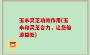 玉米灵芝功效作用(玉米和灵芝合力，让您倍添益处)