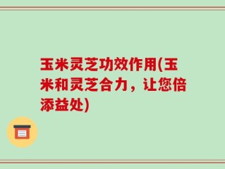 玉米灵芝功效作用(玉米和灵芝合力，让您倍添益处)