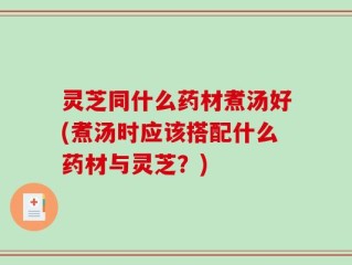 灵芝同什么药材煮汤好(煮汤时应该搭配什么药材与灵芝？)