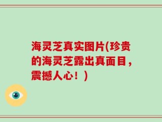 海灵芝真实图片(珍贵的海灵芝露出真面目，震撼人心！)