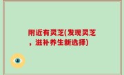 附近有灵芝(发现灵芝，滋补养生新选择)