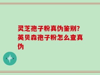 灵芝孢子粉真伪鉴别？英贝森孢子粉怎么查真伪
