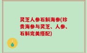 灵芝人参石斛海参(珍贵海参与灵芝、人参、石斛完美搭配)