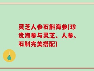 灵芝人参石斛海参(珍贵海参与灵芝、人参、石斛完美搭配)