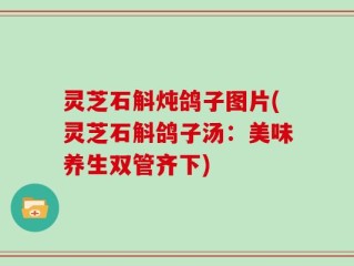 灵芝石斛炖鸽子图片(灵芝石斛鸽子汤：美味养生双管齐下)