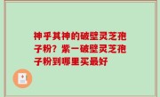 神乎其神的破壁灵芝孢子粉？紫一破壁灵芝孢子粉到哪里买最好