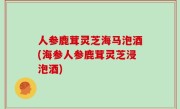 人参鹿茸灵芝海马泡酒(海参人参鹿茸灵芝浸泡酒)