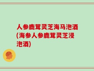 人参鹿茸灵芝海马泡酒(海参人参鹿茸灵芝浸泡酒)