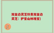 双金边灵芝珍贵双金边灵芝：护宝山林瑰宝)