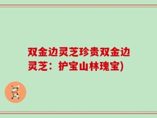 双金边灵芝珍贵双金边灵芝：护宝山林瑰宝)