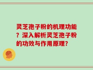 灵芝孢子粉的机理功能？深入解析灵芝孢子粉的功效与作用原理？