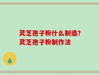 灵芝孢子粉什么制造？灵芝孢子粉制作法