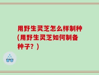 用野生灵芝怎么样制种(用野生灵芝如何制备种子？)