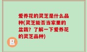 爱养花的灵芝是什么品种(灵芝能否当家里的盆栽？了解一下爱养花的灵芝品种)