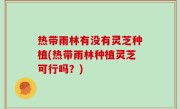 热带雨林有没有灵芝种植(热带雨林种植灵芝可行吗？)
