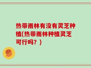 热带雨林有没有灵芝种植(热带雨林种植灵芝可行吗？)