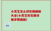 小灵芝怎么切花瓣图解大全(小灵芝剪花瓣详细步骤图解)