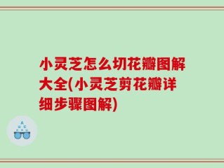小灵芝怎么切花瓣图解大全(小灵芝剪花瓣详细步骤图解)