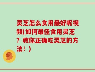 灵芝怎么食用最好呢视频(如何最佳食用灵芝？教你正确吃灵芝的方法！)