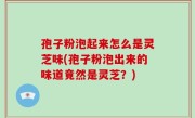 孢子粉泡起来怎么是灵芝味(孢子粉泡出来的味道竟然是灵芝？)