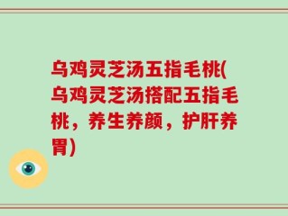 乌鸡灵芝汤五指毛桃(乌鸡灵芝汤搭配五指毛桃，养生养颜，护肝养胃)