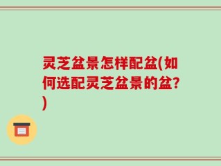 灵芝盆景怎样配盆(如何选配灵芝盆景的盆？)