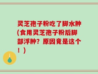 灵芝孢子粉吃了脚水肿(食用灵芝孢子粉后脚部浮肿？原因竟是这个！)