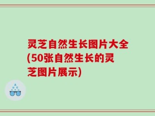 灵芝自然生长图片大全(50张自然生长的灵芝图片展示)