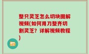 整只灵芝怎么切块图解视频(如何用刀整齐切割灵芝？详解视频教程)
