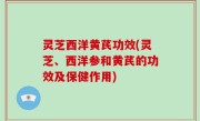 灵芝西洋黄芪功效(灵芝、西洋参和黄芪的功效及保健作用)